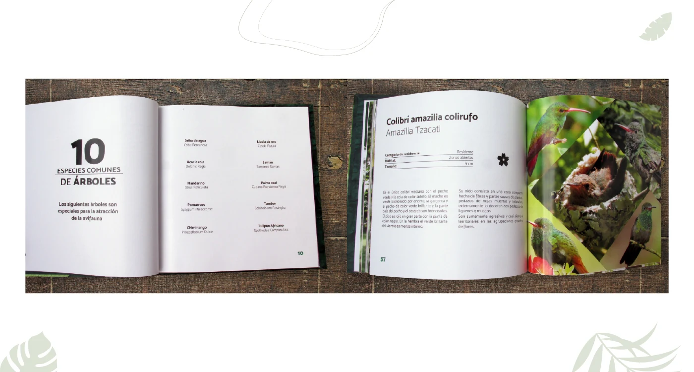 Yo Amo Cali — Páginas interiores y fichas de especies